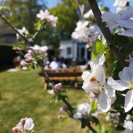 B&B De Koffietuin Beekbergen Εξωτερικό φωτογραφία