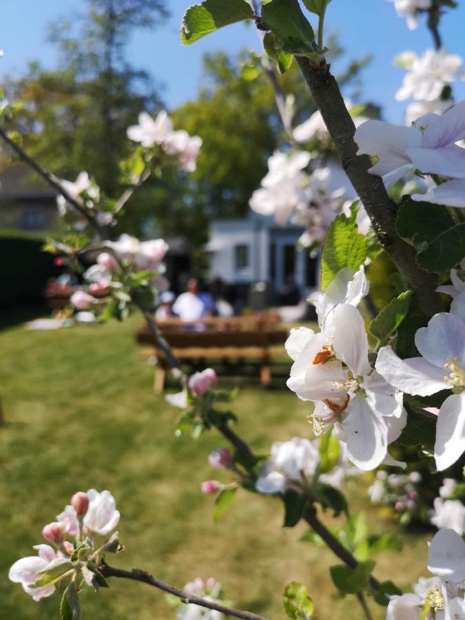 B&B De Koffietuin Beekbergen Εξωτερικό φωτογραφία